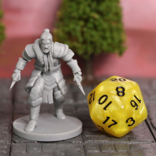 Dual Wielding Barbarian