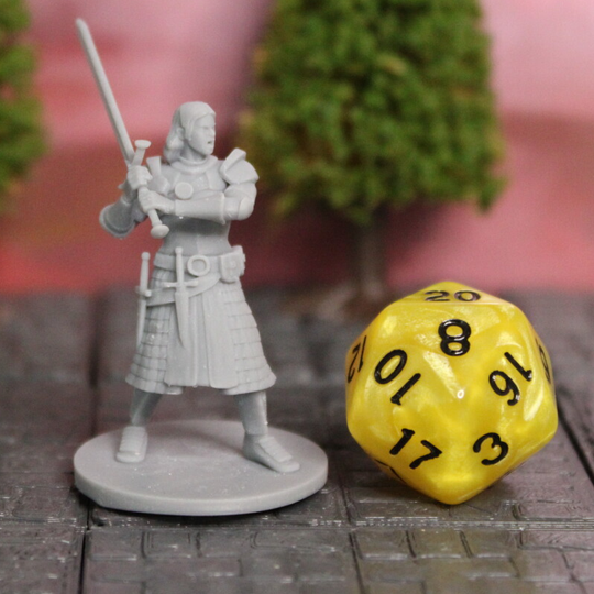 Female Knight