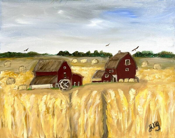 Fields of Gold: The Barn's Silent Watch   SOLD