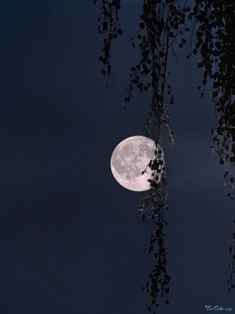 birch-moon_fs-standard.jpg