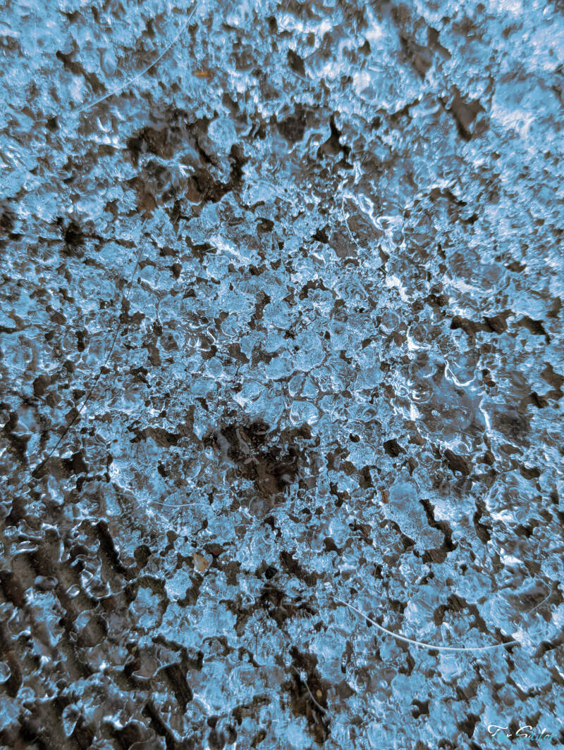 blue-ice_fs-standard.jpg