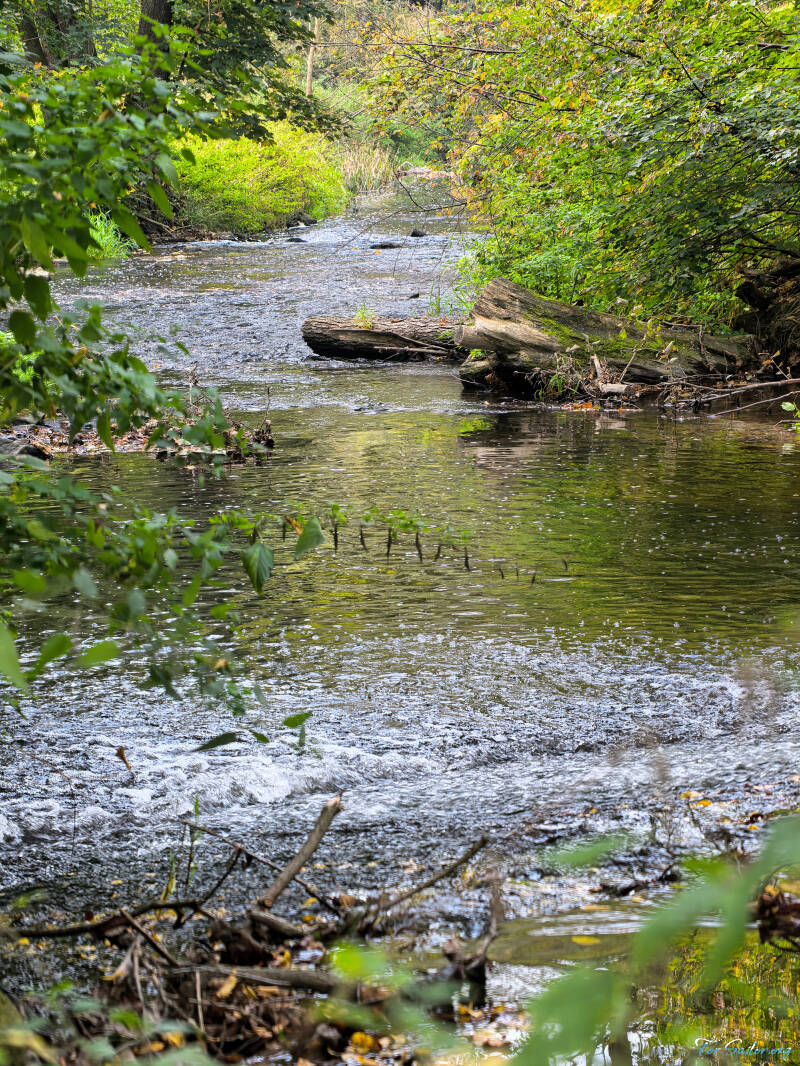 creek-1-_fs-standard.jpg