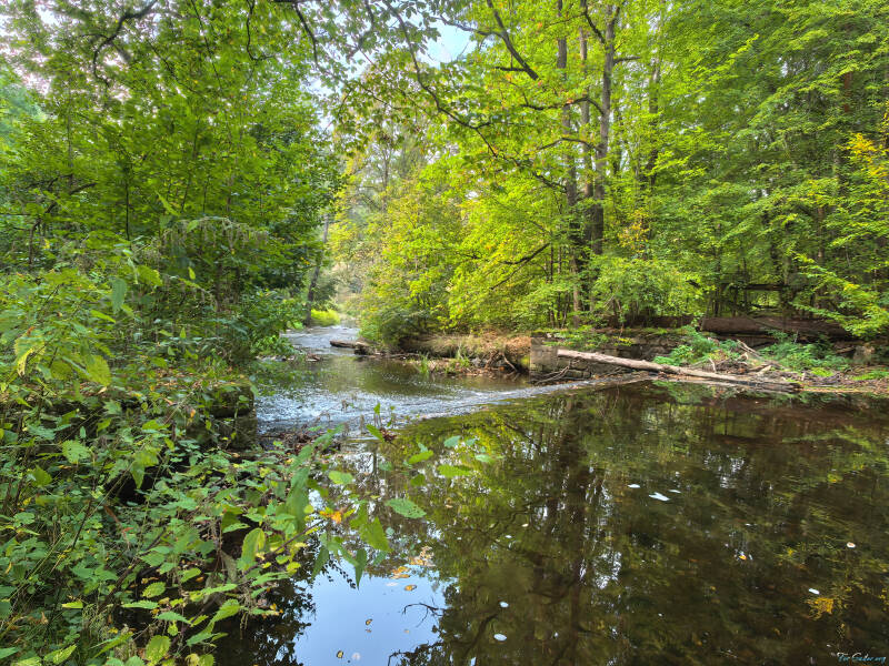 creek-2-_fs-standard.jpg