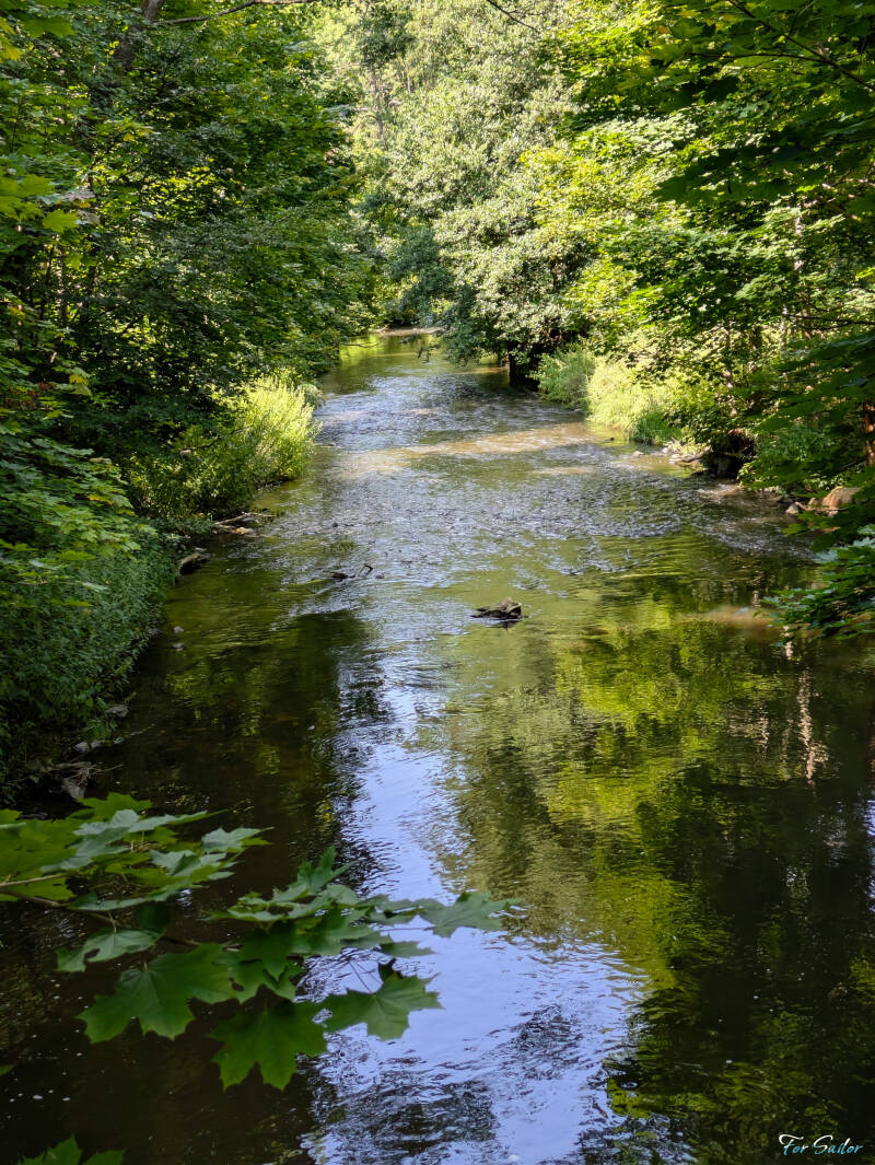 creek_fs-standard.jpg