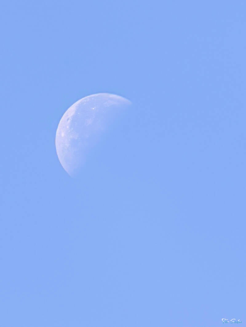 day-moon_fs-standard.jpg