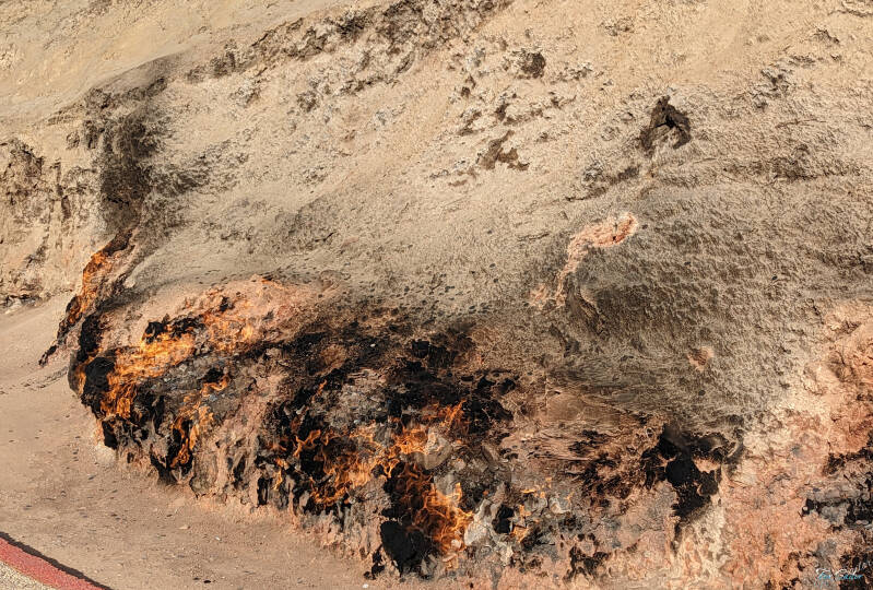 fire_fs-standard.jpg