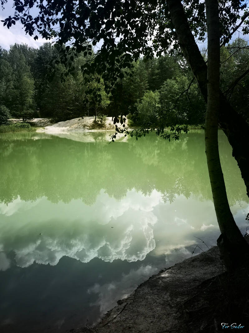 green-water_fs-standard.jpg