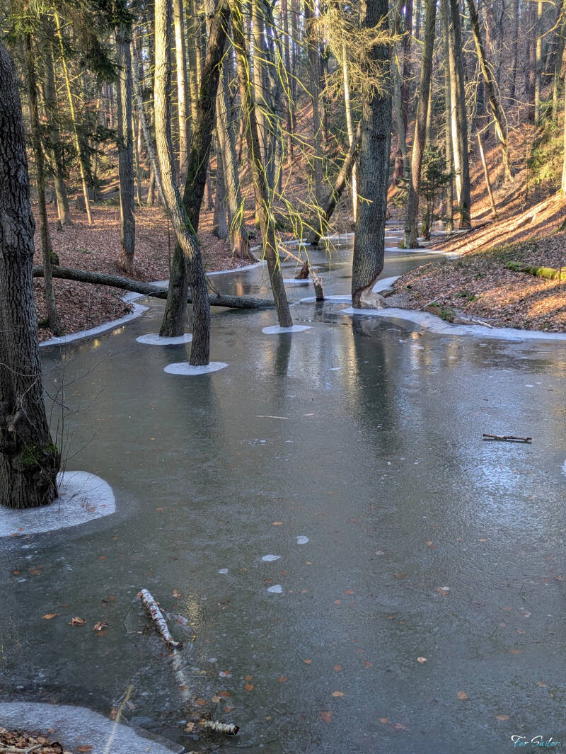 ice-brook_fs-standard.jpg