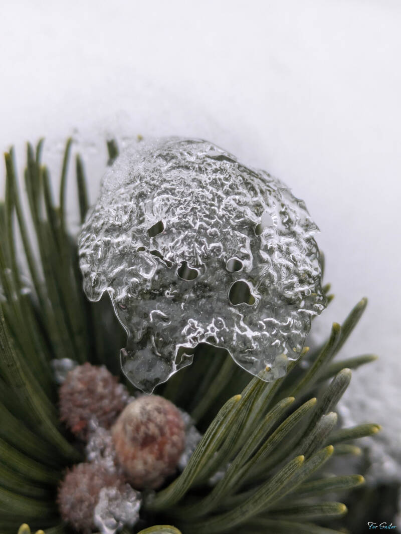 melting-ice_fs-standard.jpg