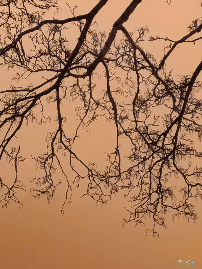 orange-sky-1-_fs-standard.jpg
