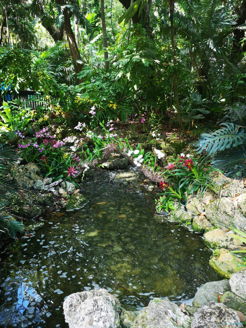 pond-1-_fs-standard.jpg