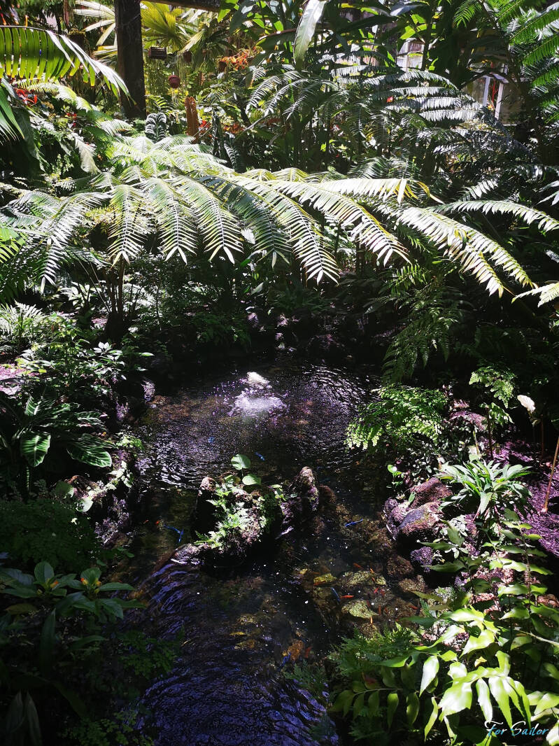 pond_fs-standard.jpg