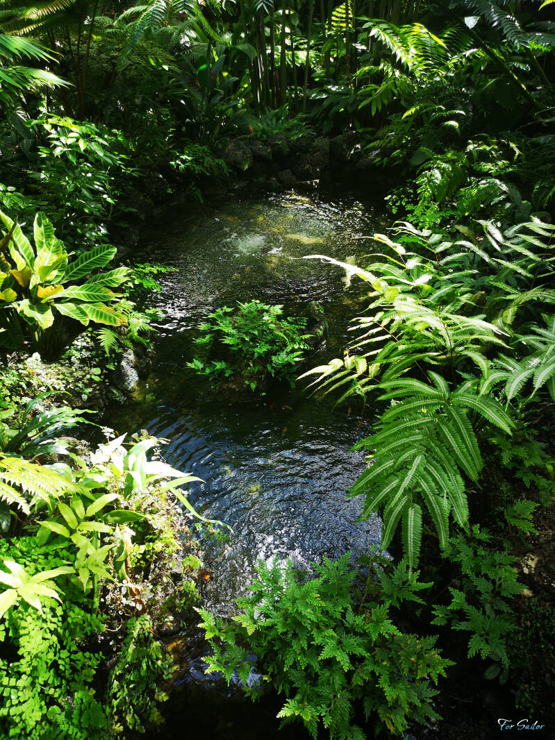 ponds_fs-standard.jpg