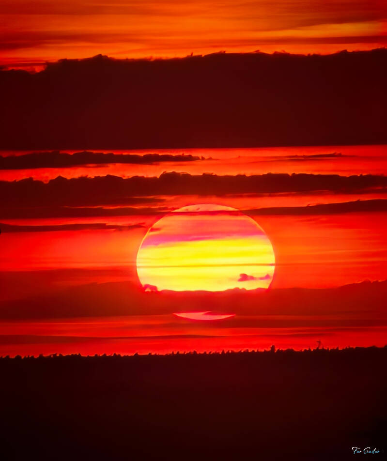 sun-in-red_fs-standard.jpg