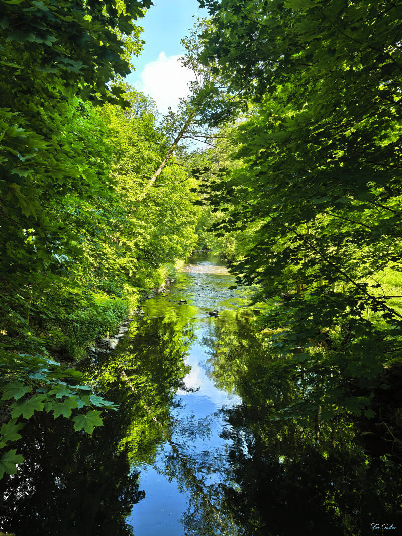 tree-creek-1-_fs-standard.jpg