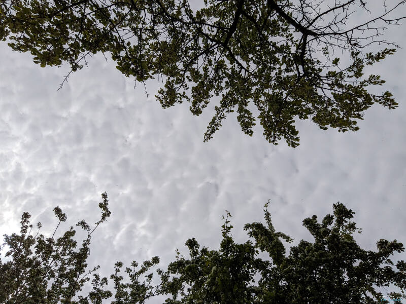 white-sky_fs-standard.jpg