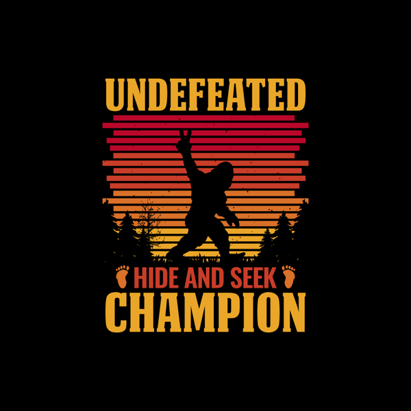HIDE IN SEEK