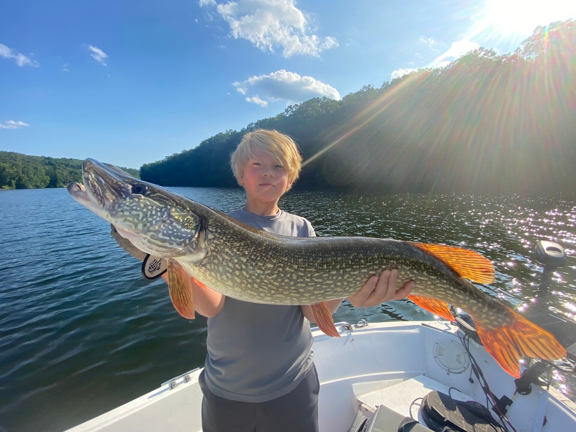 Connecticut Northern Pike Connecticut fishing charter