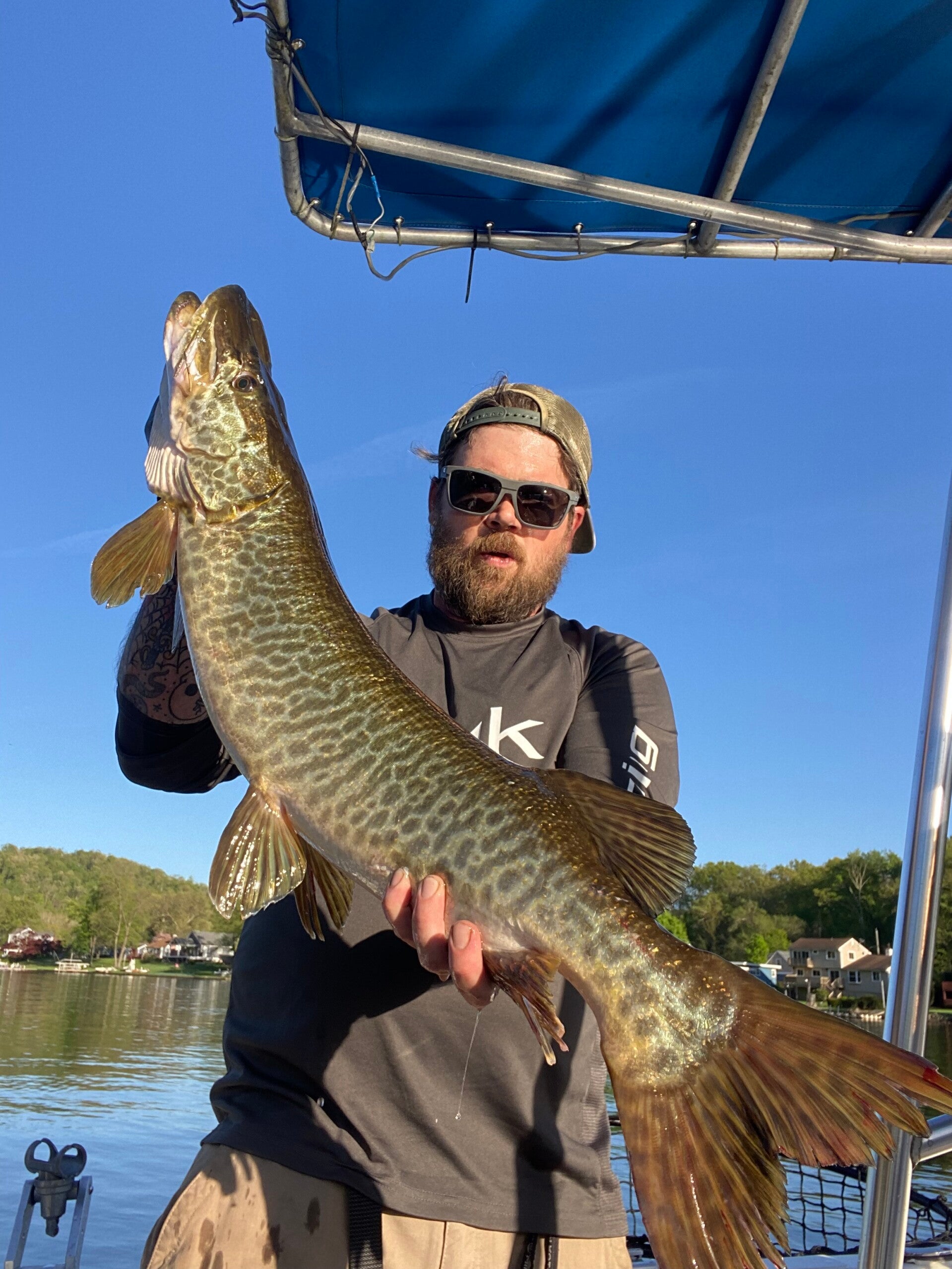 connecticut tiger musky charter