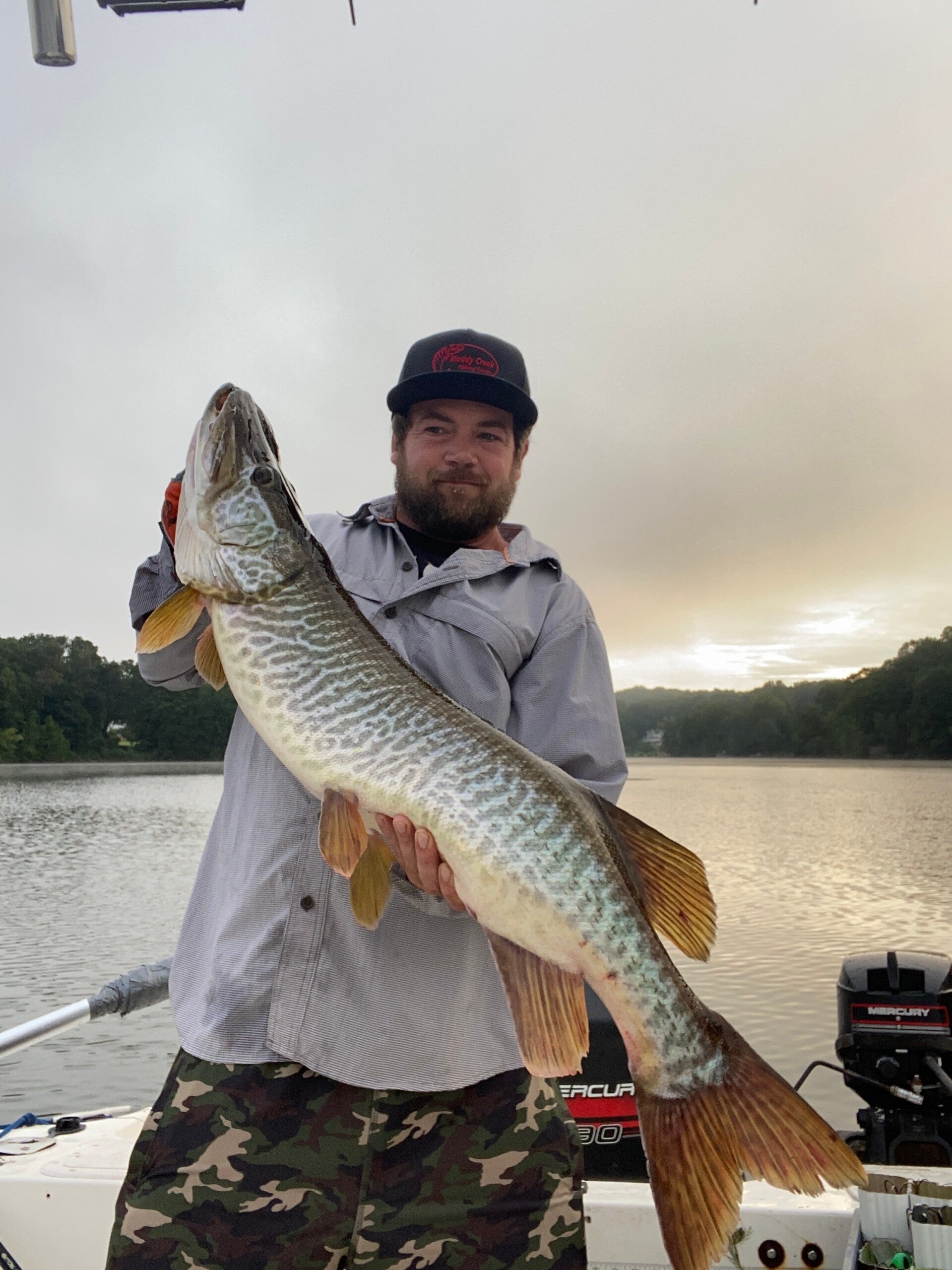 connecticut tiger musky