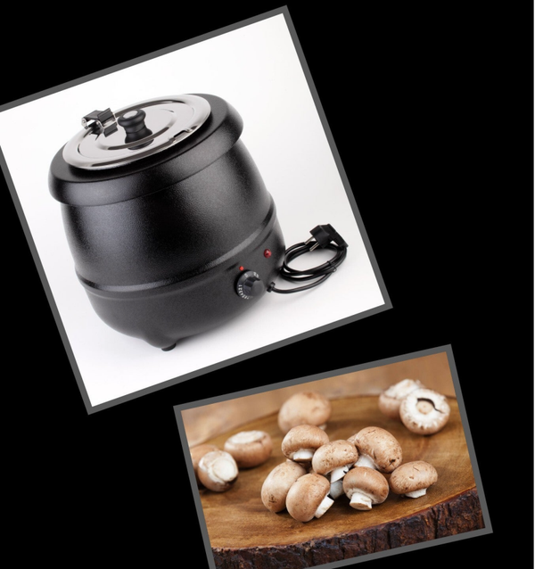 Bospaddenstoelen soep