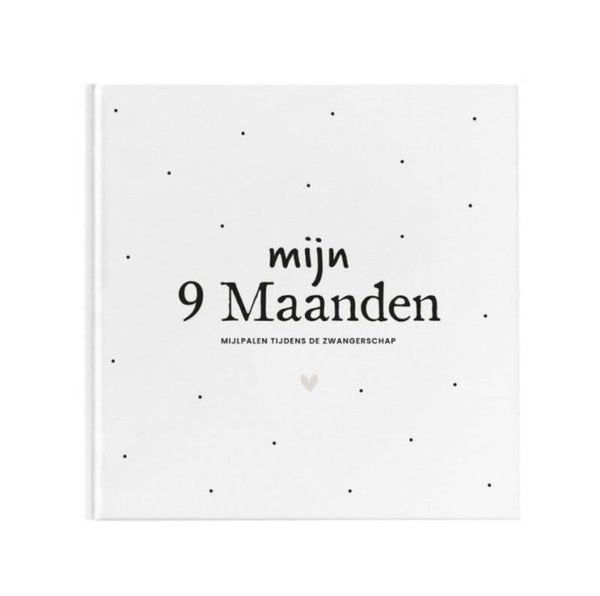 Mijn 9maanden invulboek stip