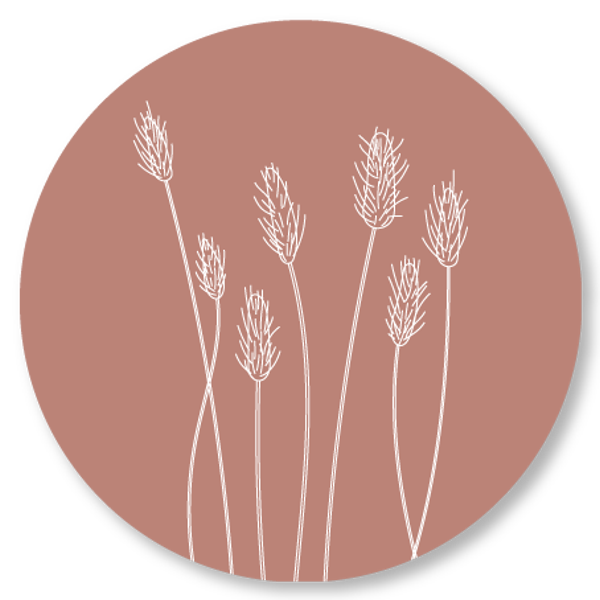 Muurcirkel oud roze riet