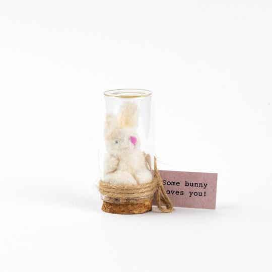 Some Bunny Loves you mini