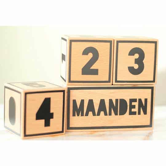 Mijlpaalblokken Little Monkeys