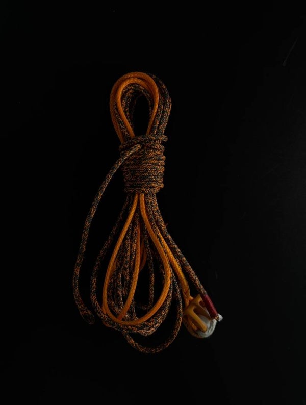 Ilca/Laser Vang professionell Control