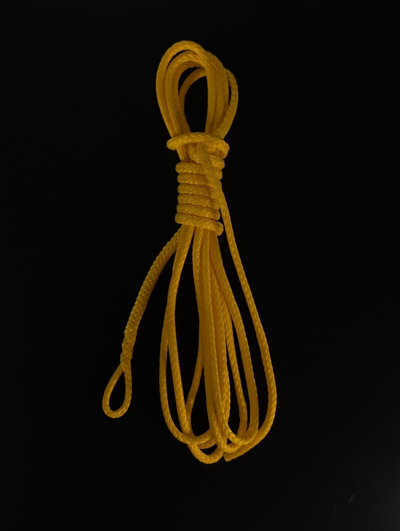 Ilca/Laser Traveller professionell