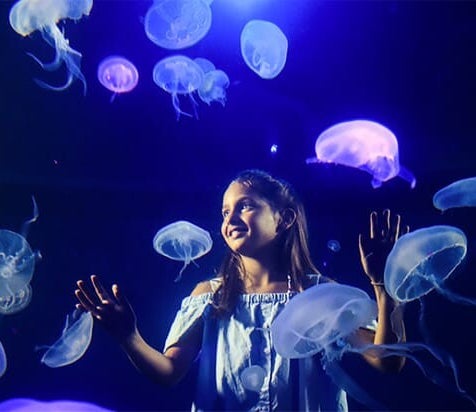 Kind in Aquarium Palma de Mallorca