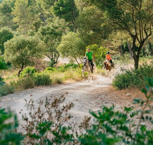 Horseback Riding Experience