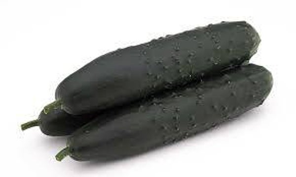 Pepino Bio (100gr)