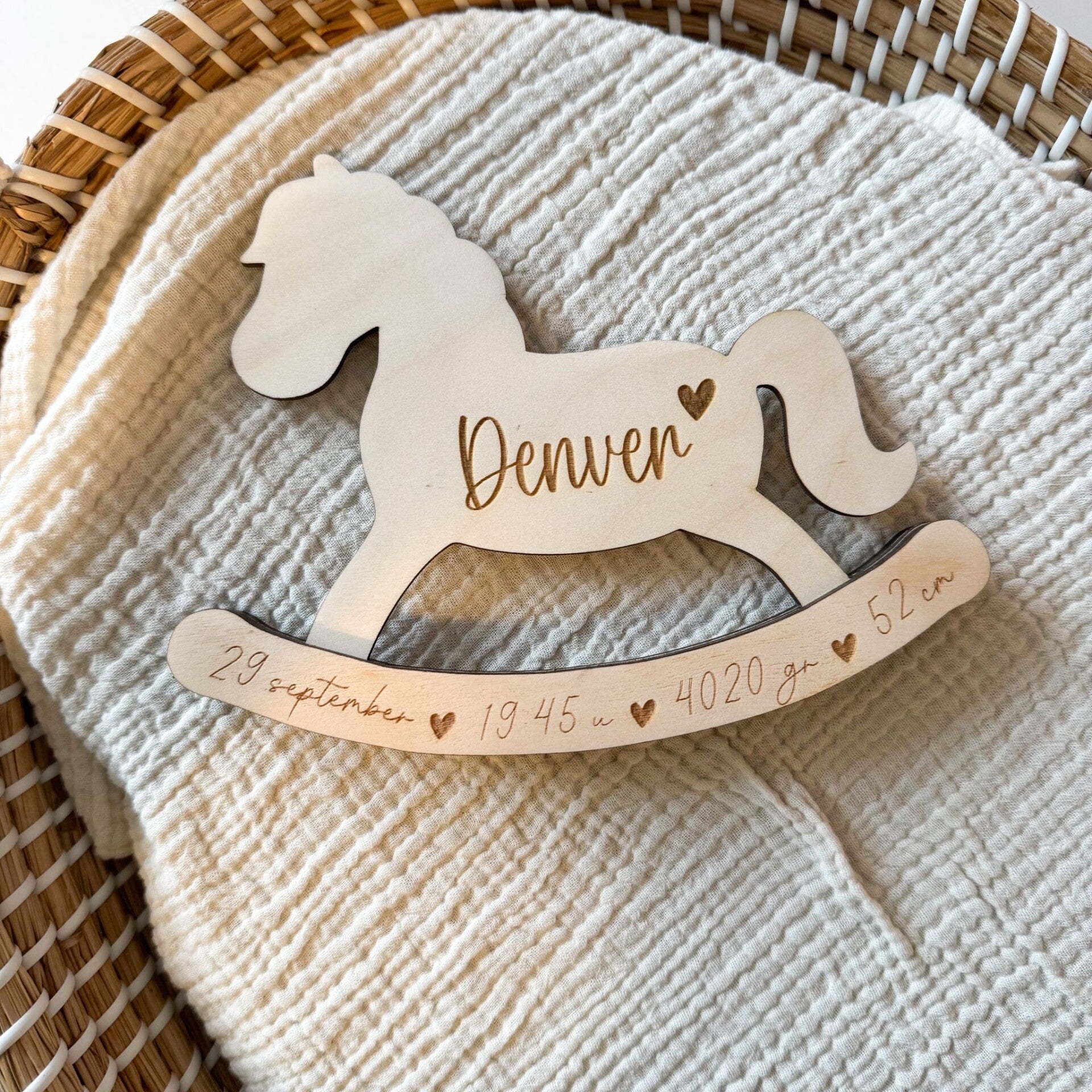 Geboorte hobbelpaardje