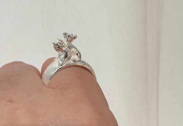 Zilveren kikkerprins ring