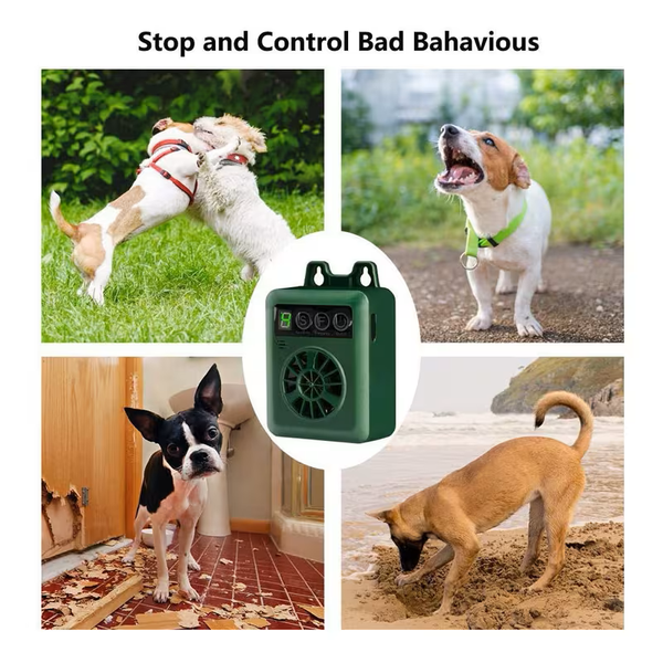 Koiran haukkuhallintalaite