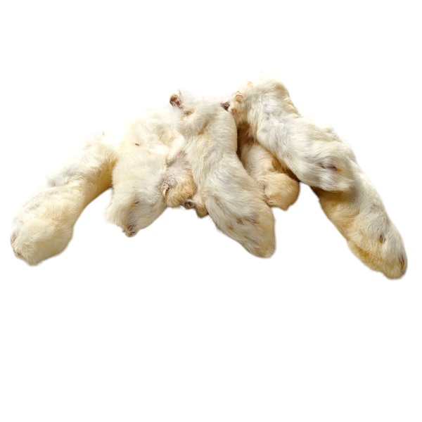 Kaninchenpfoten mit Fell