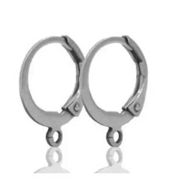 Zilvere rvs oorbelhaakjes