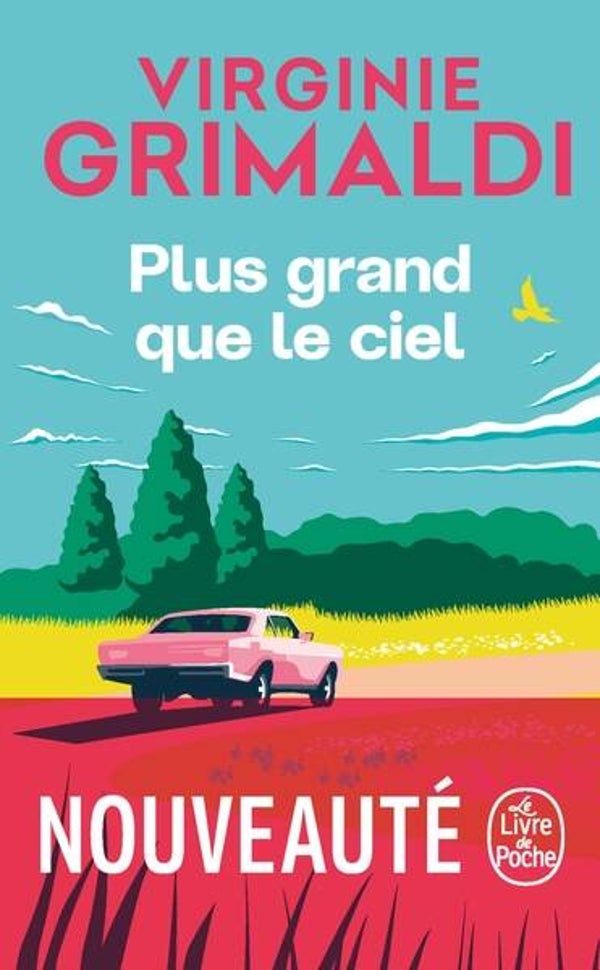 Plus grand que le ciel - Virginie Grimaldi  - livre
