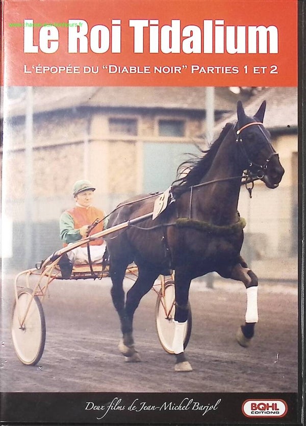 Le Roi Tidalium - L'Epopée du diable noir - Parties 1 et 2 - Jean-Michel Barjol - DVD