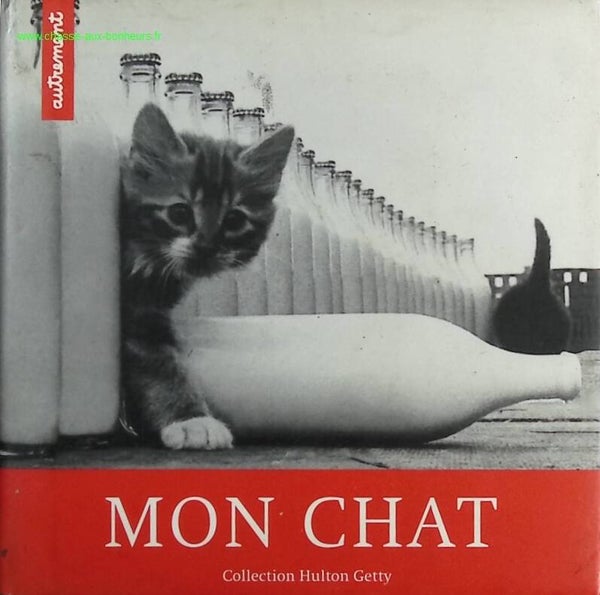 Mon chat - Collectif - livre