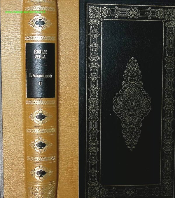 L'assommoir Tome 2 - Emile Zola - livre