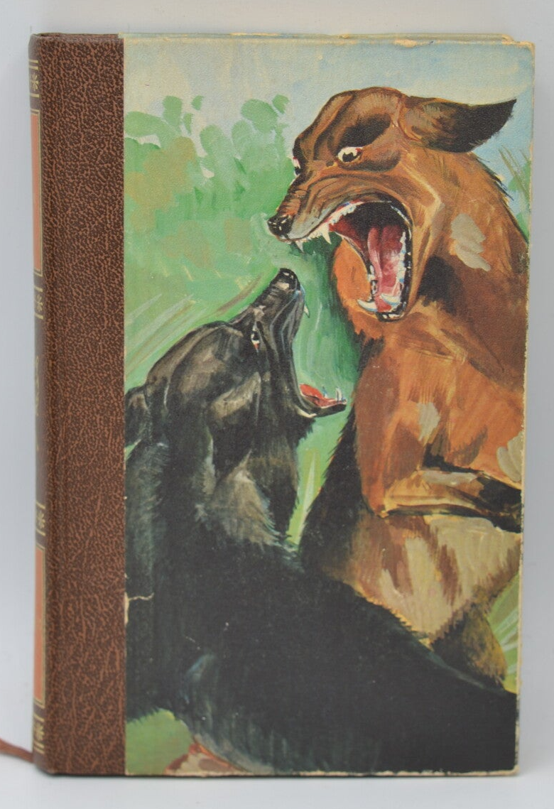 Croc blanc - Jack London - 1974 - livre