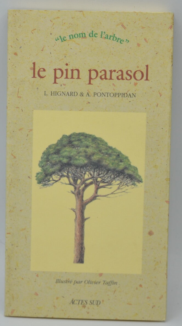 Le pin parasol - Alain Pontoppidan Lionel Hignard - 1995 - livre