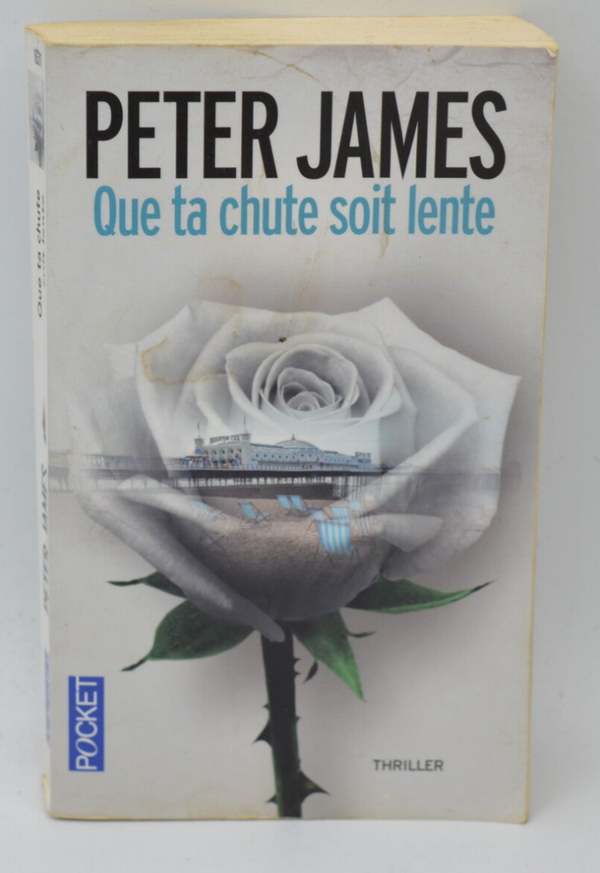 Que ta chute soit lente - Peter James - 2015 - livre