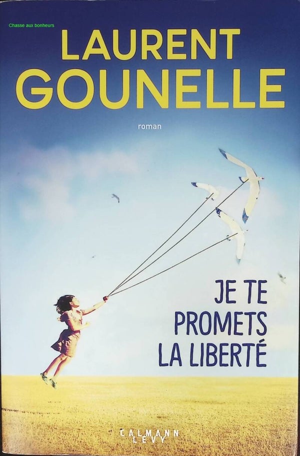 Je te promets la liberté - Laurent Gounelle - livre