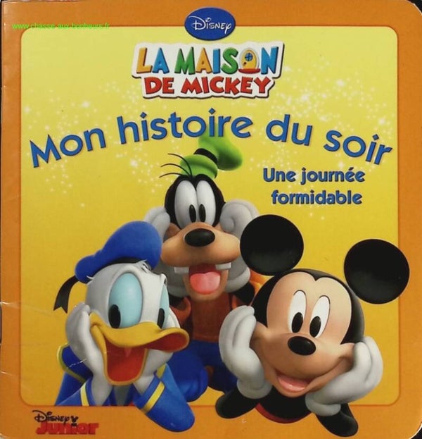 Une journée formidable - Disney - Livre
