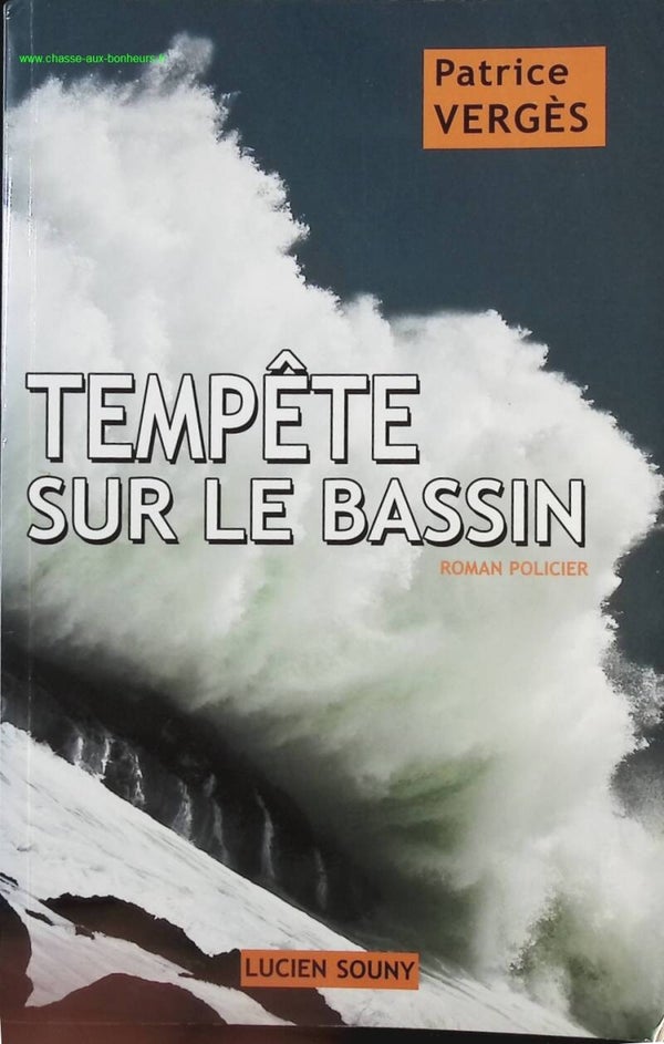 Tempête sur le bassin - Patrice Vergès - Livre
