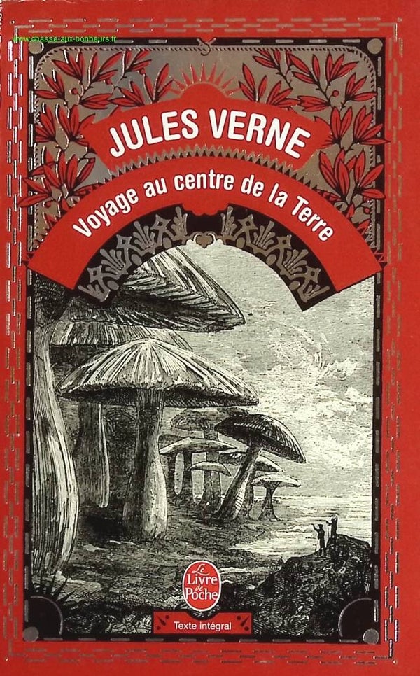 Voyage au centre de la Terre - Jules Verne - Livre